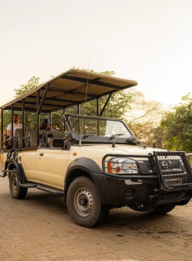 Family-Friendly Safari Experiences